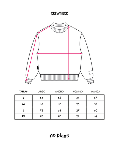 Crewneck NPSC - Washed